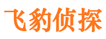 崆峒外遇出轨调查取证